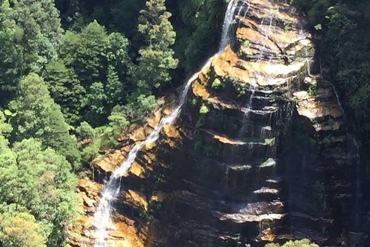 Private Blue Mountains Tour with Kangaroo and Koala Experience - Image 5
