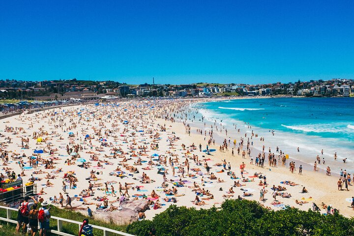 PRIVATE Bondi Beach, Opera House & Harbour Bridge and Sydney City - Image 4