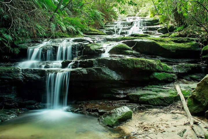 PRIVATE Deluxe Blue Mountains Waterfalls, Bushwalks & Koalas Late Start Tour - Image 4