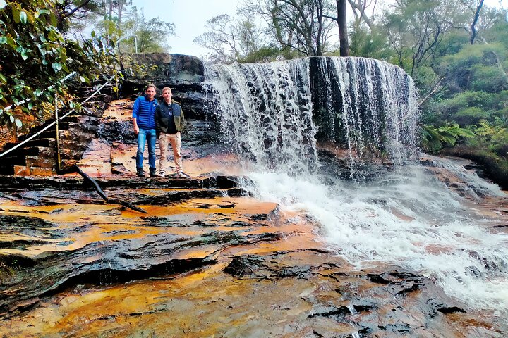 PRIVATE Deluxe Blue Mountains Waterfalls, Bushwalks & Koalas Late Start Tour - Image 3