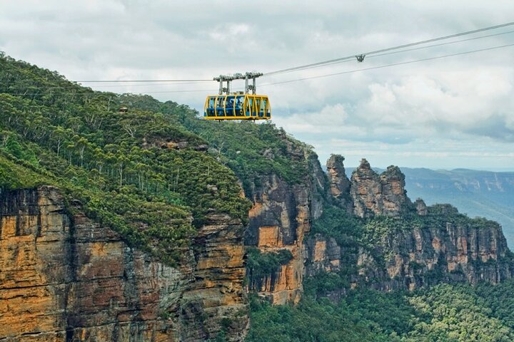 PRIVATE Featherdale Zoo Blue Mountains Scenic World in Luxury Car - Image 3