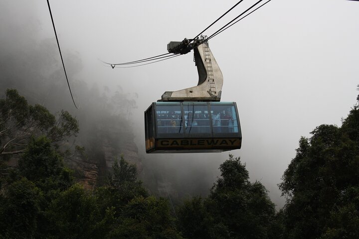 PRIVATE Featherdale Zoo Blue Mountains Scenic World in Luxury Car - Image 4