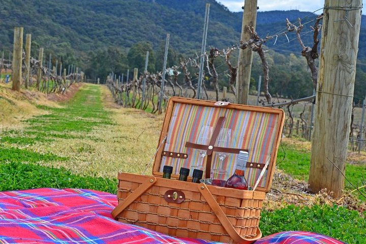 Private Hunter Valley and Gardens Day Trip from Sydney - Image 1