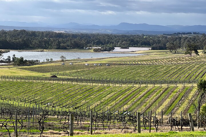 Private Hunter Valley Wine Day Tour from Sydney - Image 2