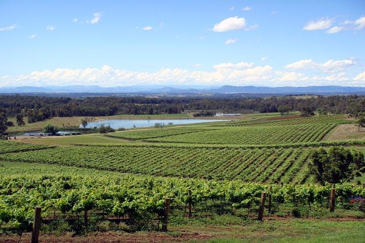 Private Hunter Valley Wine-Tasting Day Tour from Sydney - Image 1