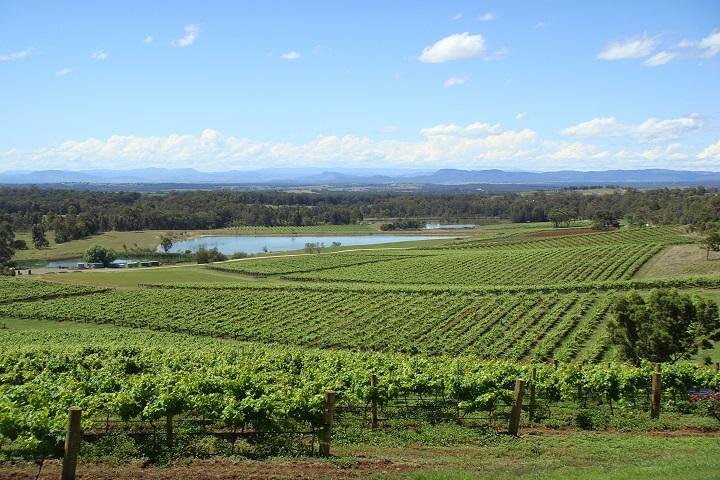 Private Hunter Valley Wine-Tasting Day Tour from Sydney - Image 2