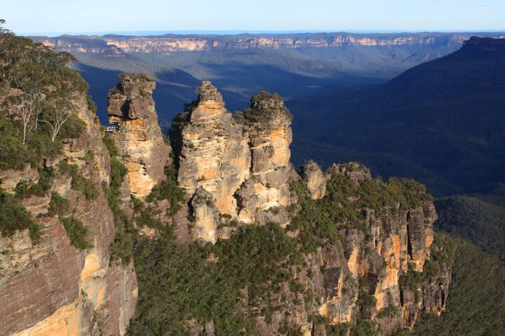 Private Luxury Blue Mountain Tour with Wildlife and River Cruise - Image 1