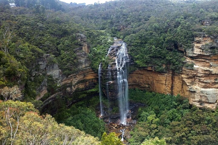 Private Luxury Full Day Tour from Sydney to the Blue Mountains - Image 3