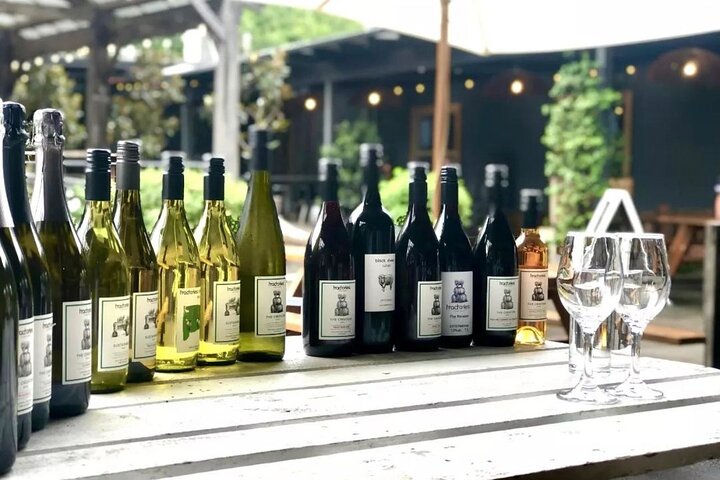 PRIVATE Southern Highlands Wine Tasting Tours from Sydney - Image 4