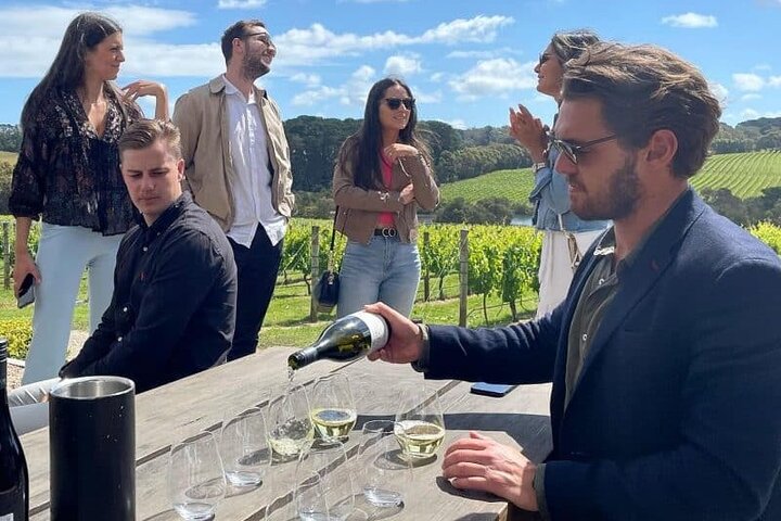PRIVATE Southern Highlands Wine Tasting Tours from Sydney - Image 1
