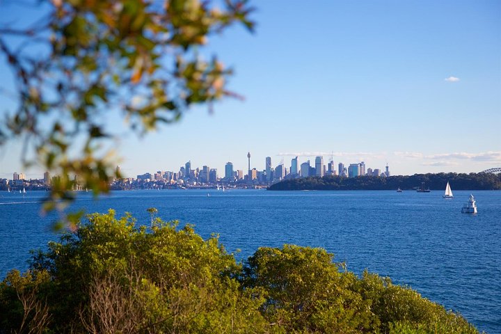 Private Sydney Beaches & Foreshores Tour - Image 2