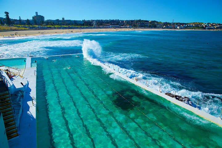 Private Sydney Beaches & Foreshores Tour - Image 3