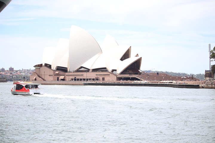 Private Sydney City Customized Tour - Image 4