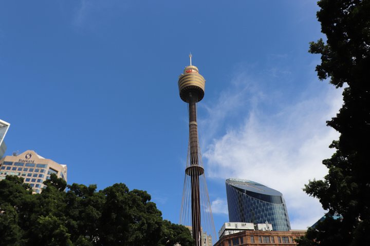 Private Sydney City Customized Tour - Image 2