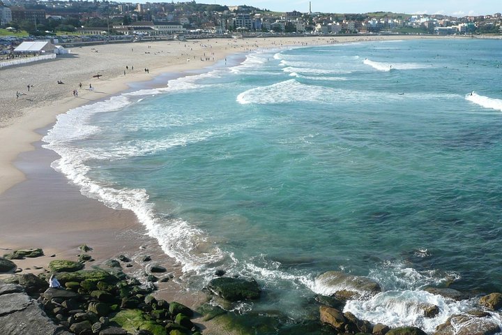 Private Sydney City Tour: The Key Attractions - Image 4