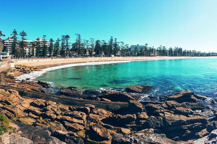 Private Sydney Full Day Tour Including Sydney Opera House, Bondi and Manly - Image 4