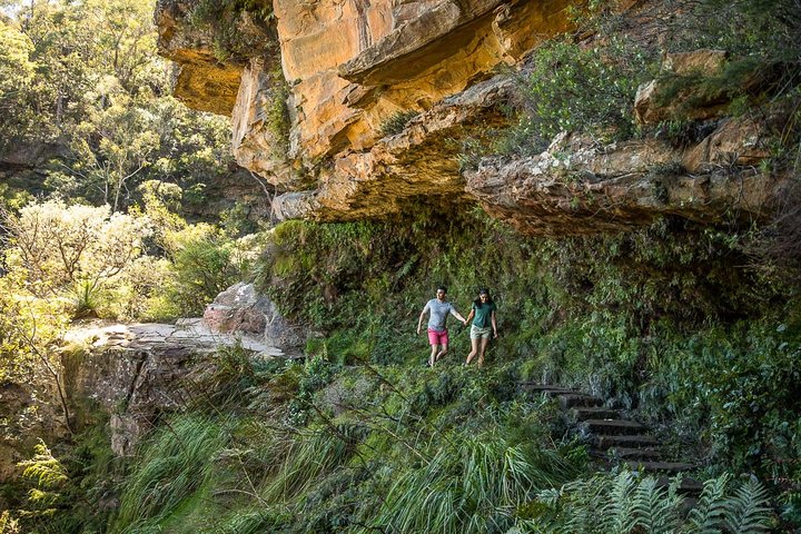 Private Tour: Blue Mountains Hiking & Nature - Image 3