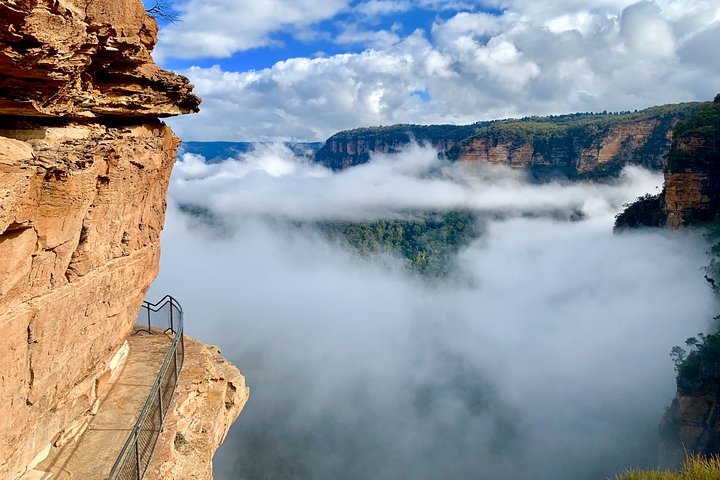 Private Tour: Blue Mountains Hiking & Nature - Image 4