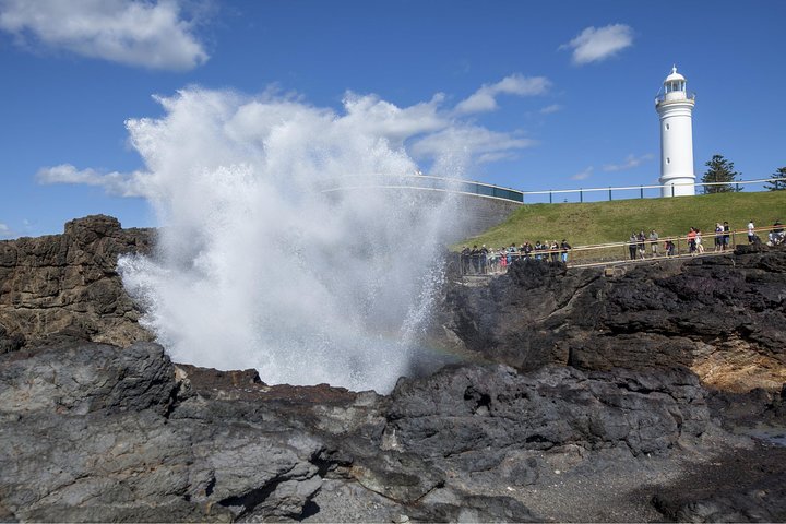 Private Tour: Sydney South Coast & Highlands - Image 4