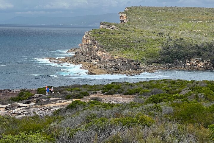 Royal National Park Hike, Swim and Wildlife Tour - Image 5