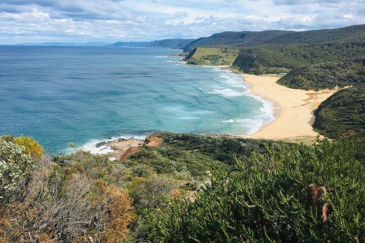 Royal National Park Hike, Swim and Wildlife Tour - Image 2