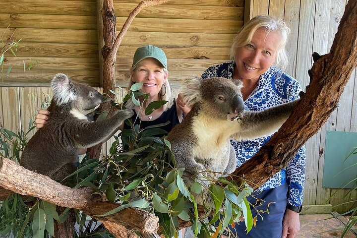 Royal National Park Hike, Swim and Wildlife Tour - Image 3