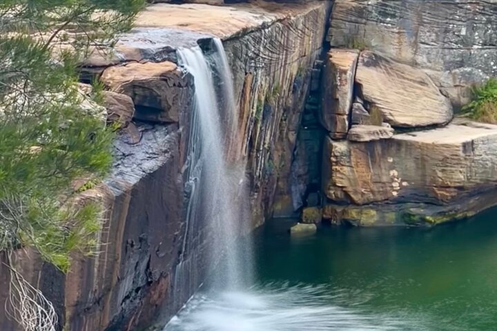 Royal National Park Hike, Swim and Wildlife Tour - Image 1