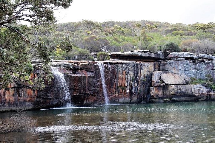Royal National Park Tour - Image 2