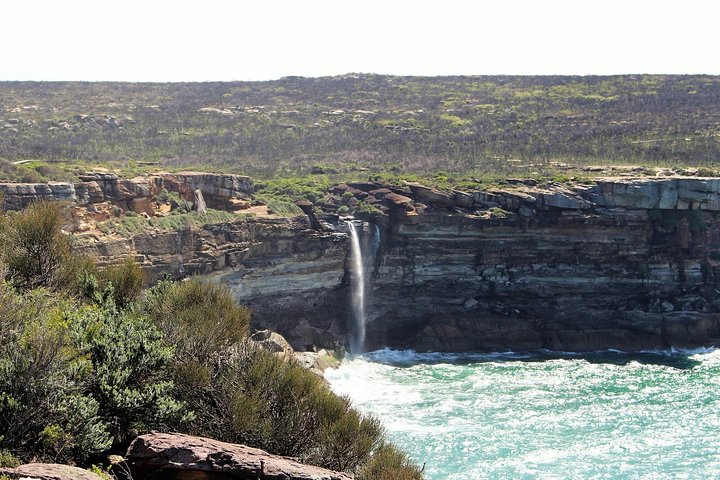 Royal National Park Tour - Image 5