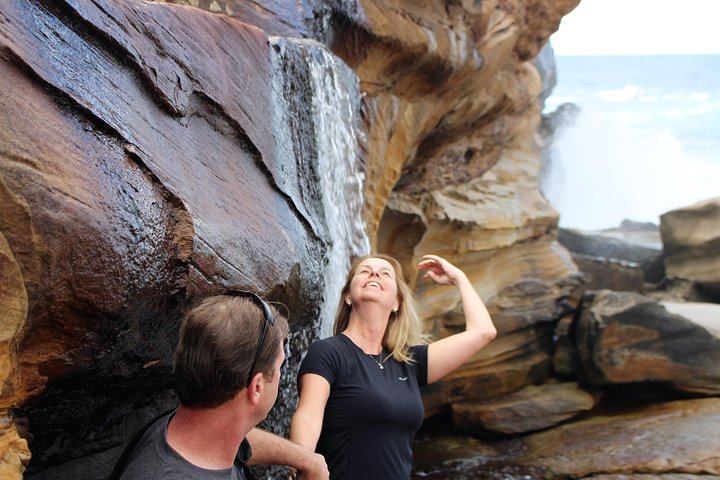 Royal National Park Tour - Image 3