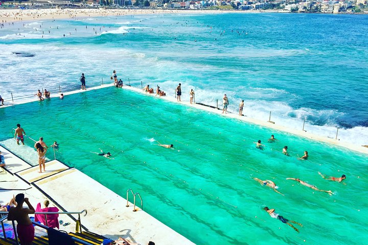 Sydney City, Harbour & Bondi Private Tour, with Airport pick up or drop off - Image 5