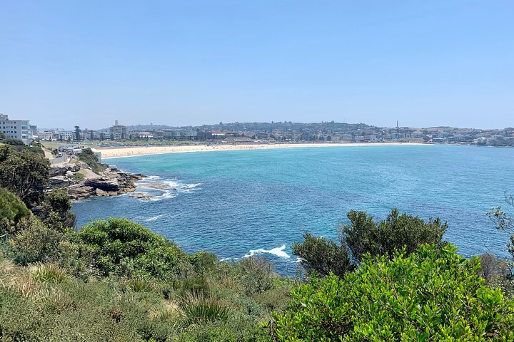 Sydney City, Harbour & Bondi Private Tour, with Airport pick up or drop off - Image 1