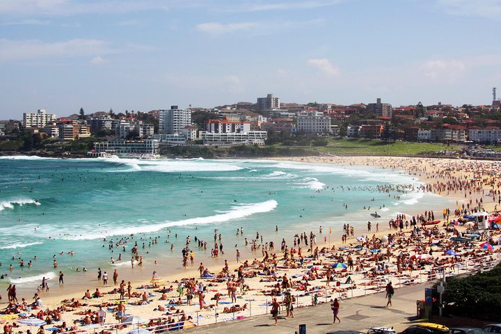 Sydney Half Day Private Tour see the Sydney Opera House and Bondi Beach - Image 3