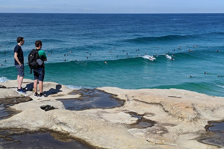 Sydney Secrets and Bondi Beach 4 HOUR MORNING PRIVATE TOUR - Image 5