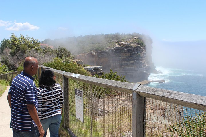 Sydney Shore Excursion: Half-Day Sydney City Highlights with Bondi Beach and Watsons Bay - Image 5