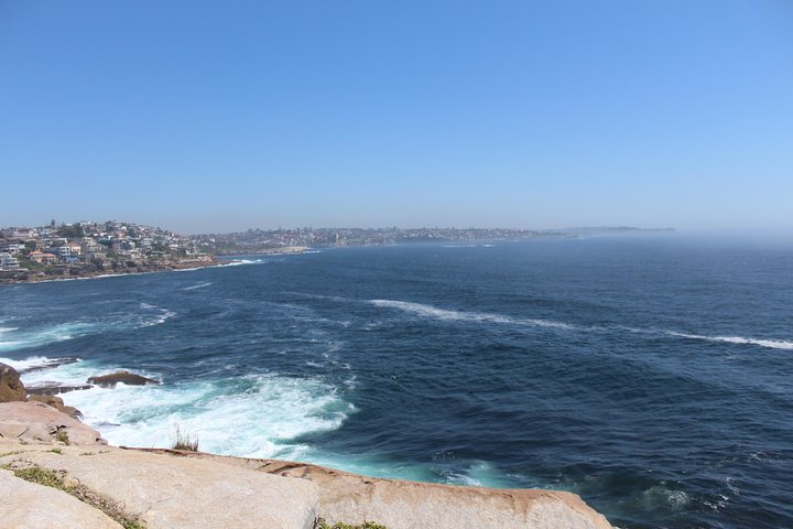 Sydney Shore Excursion: Half-Day Sydney City Highlights with Bondi Beach and Watsons Bay - Image 3