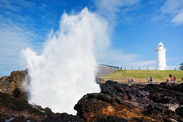Sydney South Coast Private Tour | Grand Pacific Drive and Southern Highlands - Image 5