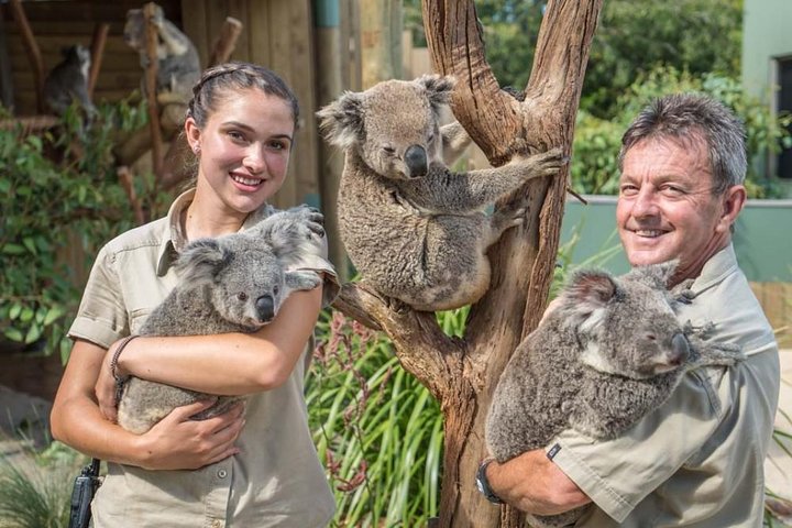 Sydney Wine Tour – Wine, Waves & Wildlife in South Coast - Image 1
