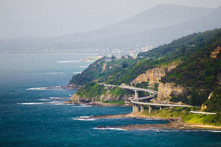 Sydney Wine Tour – Wine, Waves & Wildlife in South Coast - Image 3