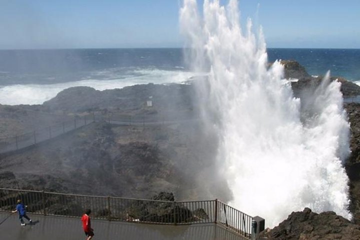 Sydney Wine Tour – Wine, Waves & Wildlife in South Coast - Image 2