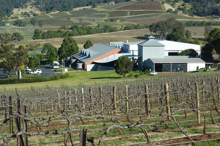 The REAL Hunter Valley Tour - Image 1