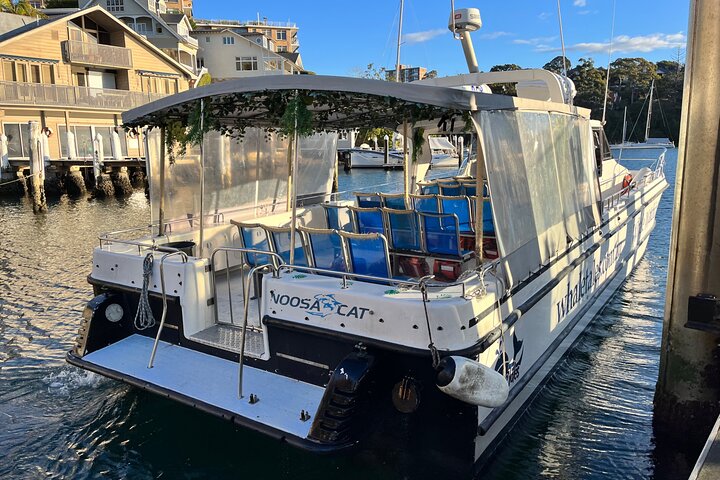 Whale Watching Boat Trip in Sydney - Image 5