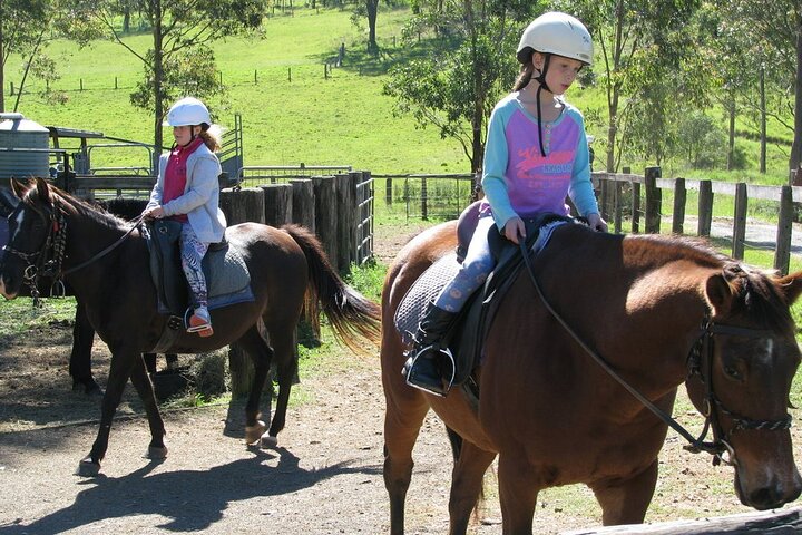 Wine and Horses | A Day Out of Sydney City - Image 2