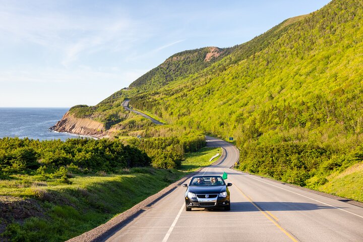 Private Cruise Excursion in Cape Breton  - Image 4