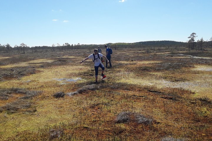 Bog-shoe Hiking Tour - Image 2