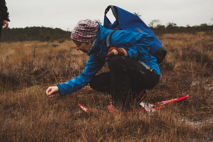 Bog-shoe Hiking Tour - Image 3