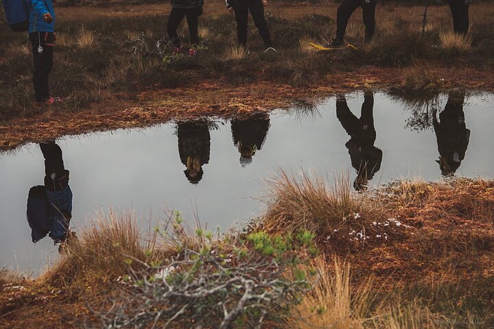 Bog-shoe Hiking Tour - Image 1