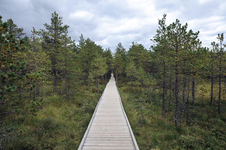 Day Tour to Magical Bog Shoe Walking tour - Image 2