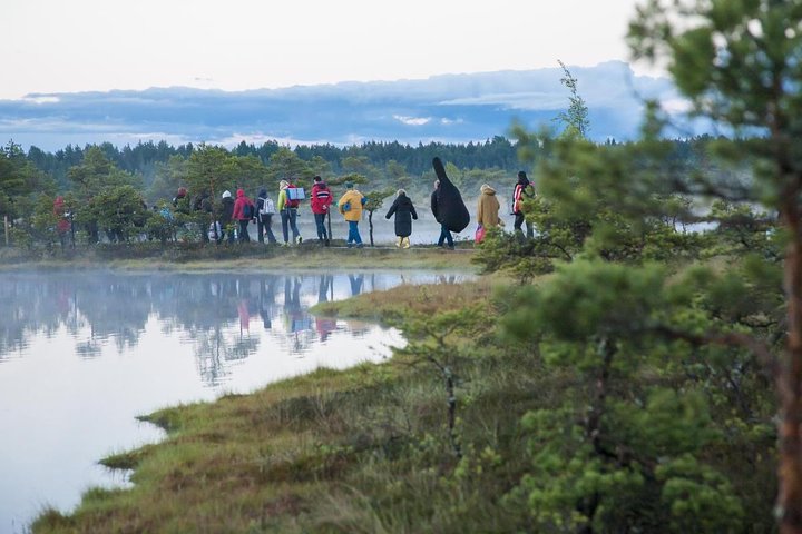 Day Tour to Magical Bog Shoe Walking tour - Image 1