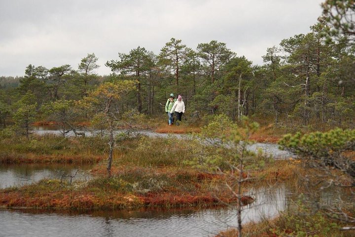 Day Tour to Magical Bog Shoe Walking tour - Image 3
